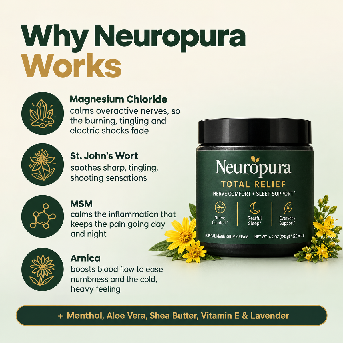 Why Neuropura works: magnesium chloride, St. John's Wort, MSM and arnica